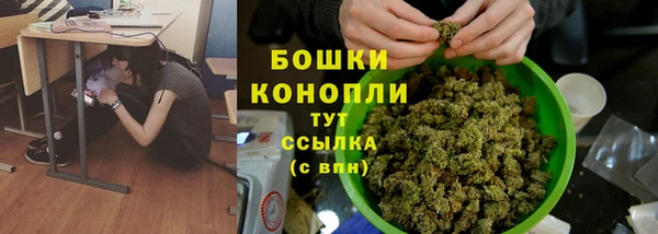 дмт Богородск
