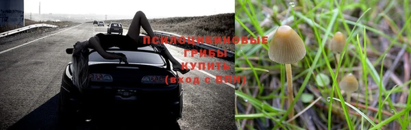 дмт Богородск
