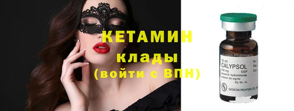 крисы Богородицк