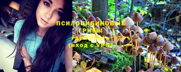 дмт Богородск