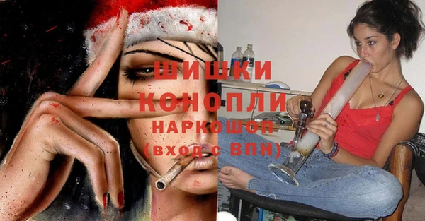 дмт Богородск